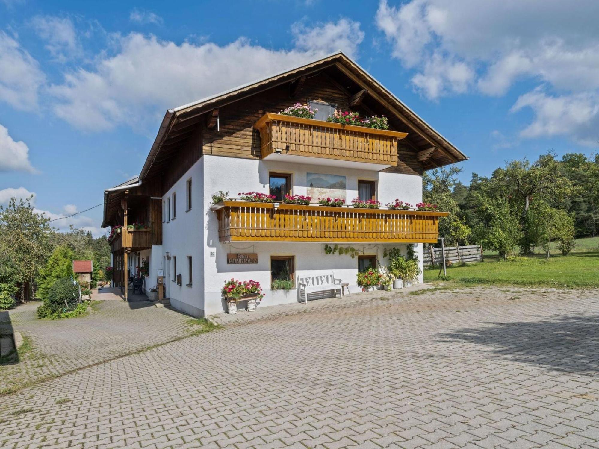 Apartment On A Farm Near The Ski Area Neukirchen beim Heiligen Blut Eksteriør billede