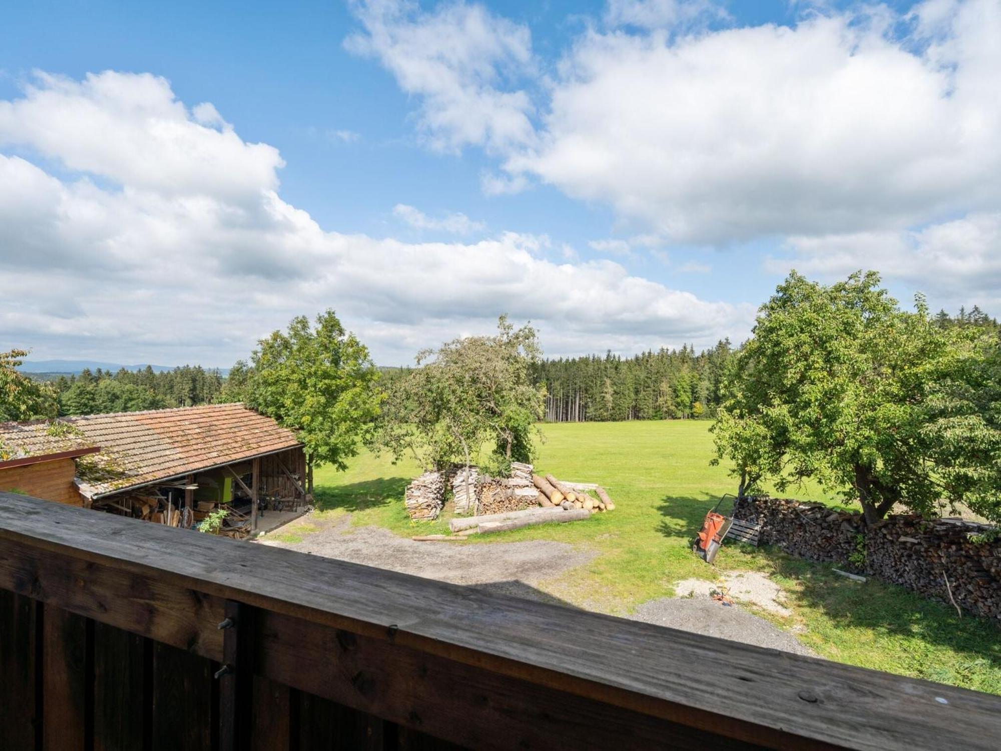 Apartment On A Farm Near The Ski Area Neukirchen beim Heiligen Blut Eksteriør billede